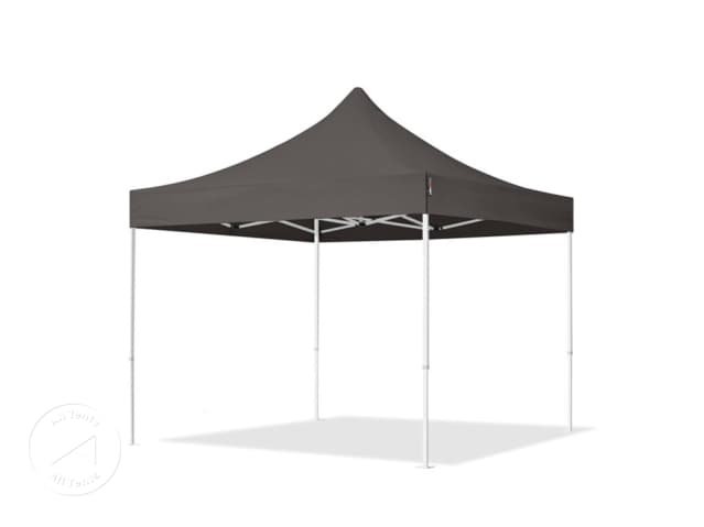 DTL-1_FP_0300x0300_S30_DGY