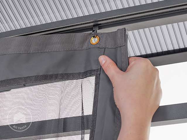 DTL1_GAR_SUNS_DEL_MOSQ_LG