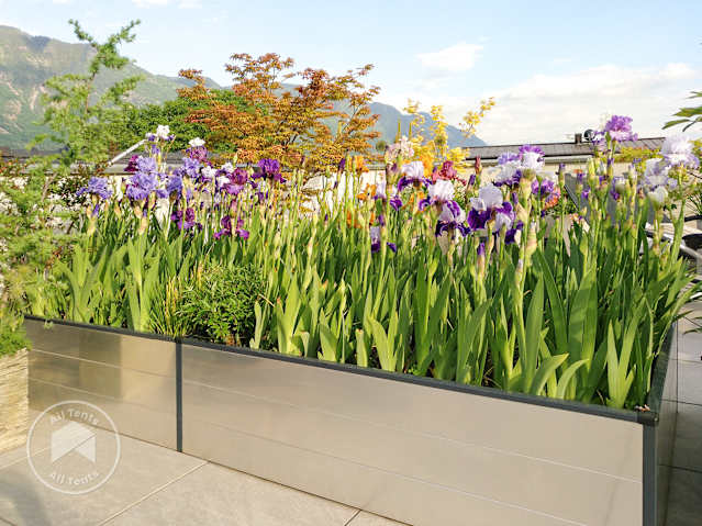 raised-garden-bed-flowers