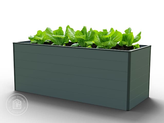 DTL01_HOB_STA_ECO_199x99_AN_