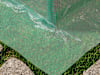 DTL-7_FOG_BAS_GN