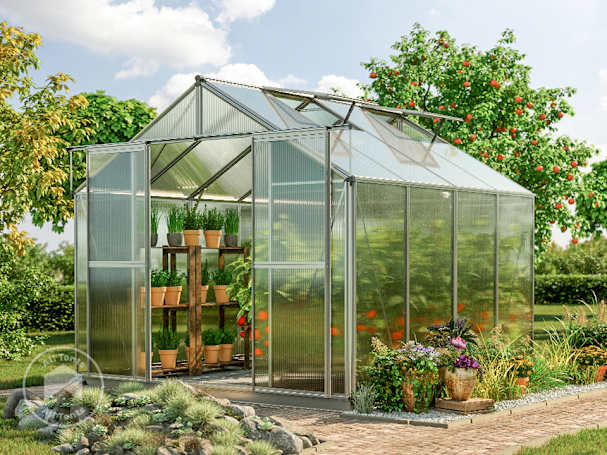 Aluminium frame greenhouse with clear polycarbonate panels and shelving, used for growing vegetables and plants in a garden